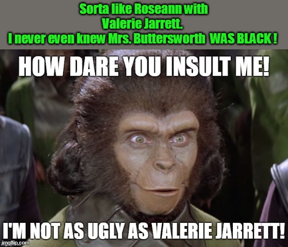 Sorta like Roseann with Valerie Jarrett. 
I never even knew Mrs. Buttersworth  WAS BLACK ! | made w/ Imgflip meme maker