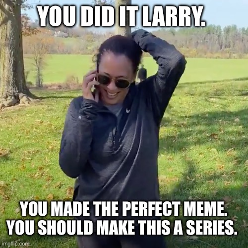 We Did It Joe | YOU DID IT LARRY. YOU MADE THE PERFECT MEME. YOU SHOULD MAKE THIS A SERIES. | image tagged in we did it joe | made w/ Imgflip meme maker