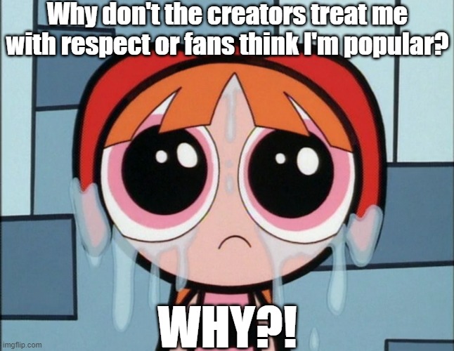 Blossom needing love | Why don't the creators treat me with respect or fans think I'm popular? WHY?! | image tagged in power puff girls | made w/ Imgflip meme maker