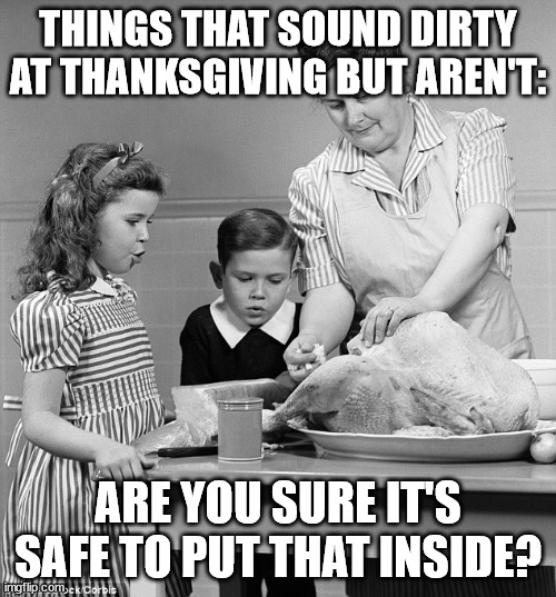 Things That Sound Dirty At Thanksgiving (Part 9) | THINGS THAT SOUND DIRTY AT THANKSGIVING BUT AREN'T:; ARE YOU SURE IT'S SAFE TO PUT THAT INSIDE? | image tagged in turkey stuffing,funny,humor,fun,double entendre | made w/ Imgflip meme maker