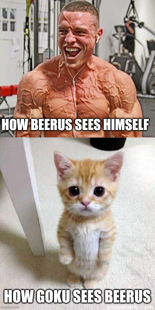HOW BEERUS SEES HIMSELF; HOW GOKU SEES BEERUS | image tagged in goku,beerus,dragonball super | made w/ Imgflip meme maker