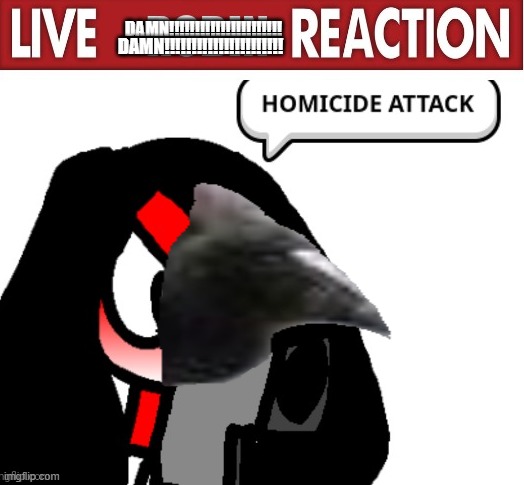 Live Robin Reaction | DAMN!!!!!!!!!!!!!!!!!!!!!! DAMN!!!!!!!!!!!!!!!!!!!!!! | image tagged in live robin reaction | made w/ Imgflip meme maker