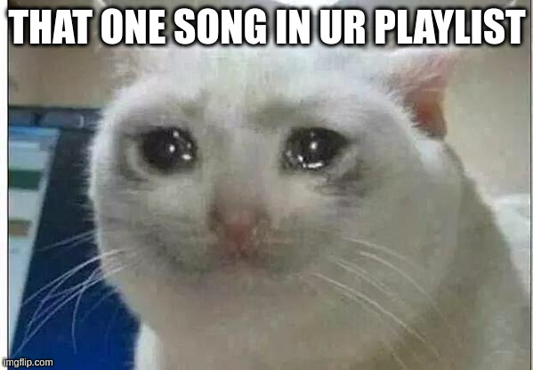 crying cat | THAT ONE SONG IN UR PLAYLIST | image tagged in crying cat | made w/ Imgflip meme maker
