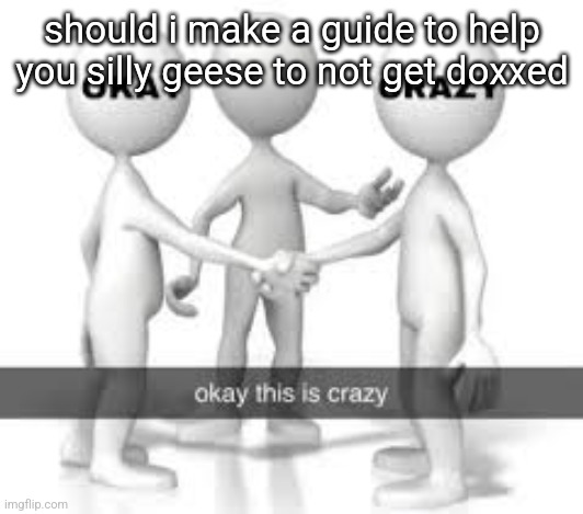 should i make a guide to help you silly geese to not get doxxed | made w/ Imgflip meme maker