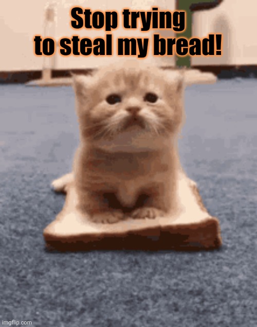 Stop it. Get some help | Stop trying to steal my bread! | image tagged in stop,stealing,don't touch my food,cats,kitten | made w/ Imgflip meme maker