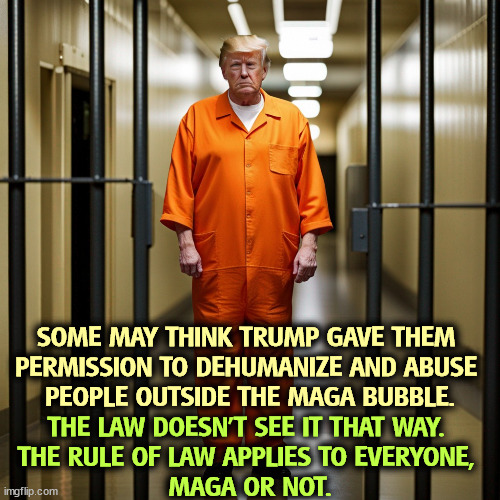 SOME MAY THINK TRUMP GAVE THEM 
PERMISSION TO DEHUMANIZE AND ABUSE 
PEOPLE OUTSIDE THE MAGA BUBBLE. THE LAW DOESN'T SEE IT THAT WAY. 
THE RULE OF LAW APPLIES TO EVERYONE, 
MAGA OR NOT. | image tagged in trump,abuse,dehumanize,it's the law,maga | made w/ Imgflip meme maker