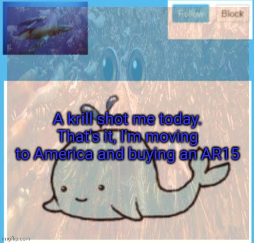Blue whale announcement template | A krill shot me today. That's it, I'm moving to America and buying an AR15 | image tagged in blue,whale,announcement,template | made w/ Imgflip meme maker