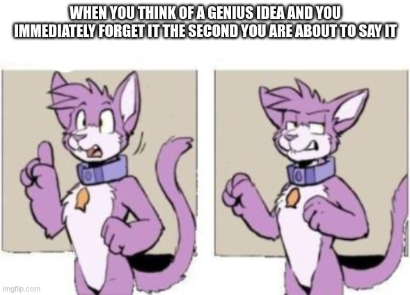 Totally unrelated furry meme (mod note: allowed. . . I think) | WHEN YOU THINK OF A GENIUS IDEA AND YOU IMMEDIATELY FORGET IT THE SECOND YOU ARE ABOUT TO SAY IT | image tagged in furry hold on,furry | made w/ Imgflip meme maker