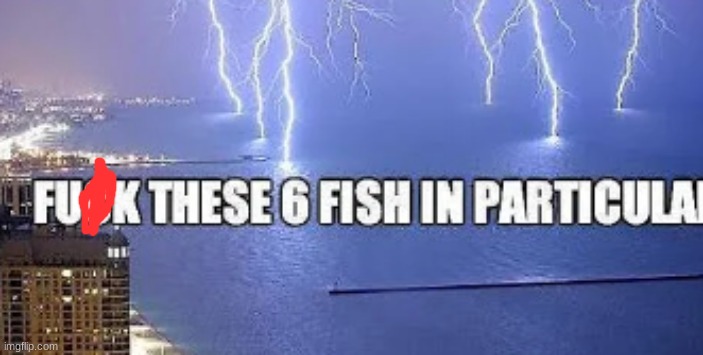 Screw those 6 fish in particular | image tagged in funny | made w/ Imgflip meme maker