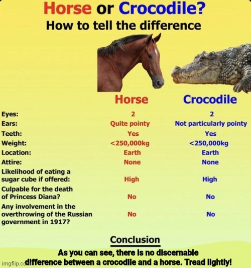 Stop it. Get some help | As you can see, there is no discernable difference between a crocodile and a horse. Tread lightly! | image tagged in stop it get some help,crocodile,horse,put that thing back,into your pants | made w/ Imgflip meme maker