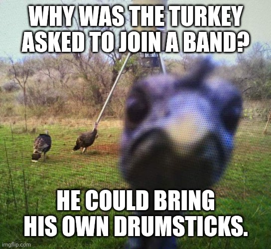 Turkey Humor | WHY WAS THE TURKEY ASKED TO JOIN A BAND? HE COULD BRING HIS OWN DRUMSTICKS. | image tagged in dad joke,humor,funny,turkey,jokes | made w/ Imgflip meme maker