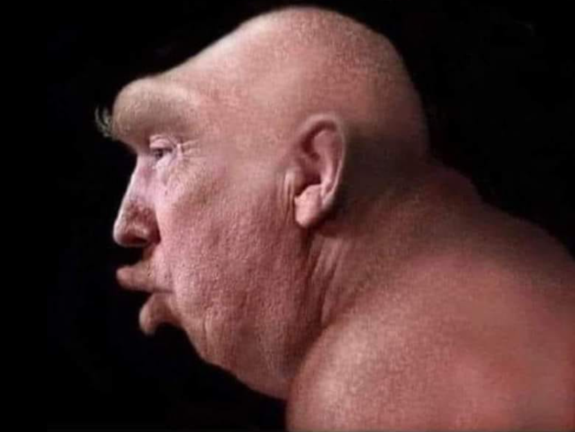 croMAGA Blank Meme Template