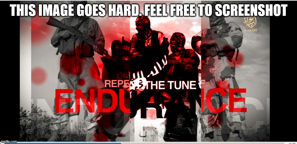 THIS IMAGE GOES HARD. FEEL FREE TO SCREENSHOT | made w/ Imgflip meme maker