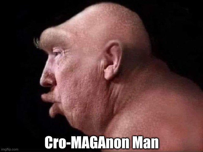 Cro-MAGA | Cro-MAGAnon Man | image tagged in maga,republican,conservative,proud boys,qanon,trump | made w/ Imgflip meme maker