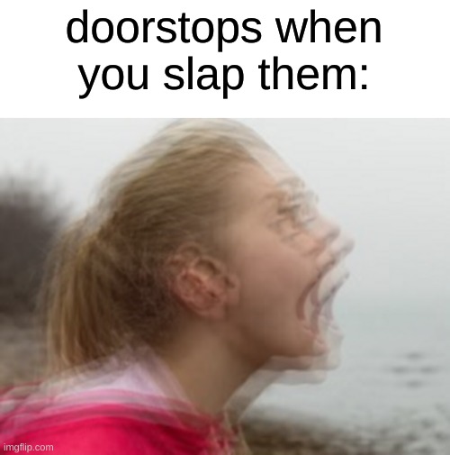 remember this? | doorstops when you slap them: | image tagged in memes,dank memes,funny,relatable | made w/ Imgflip meme maker