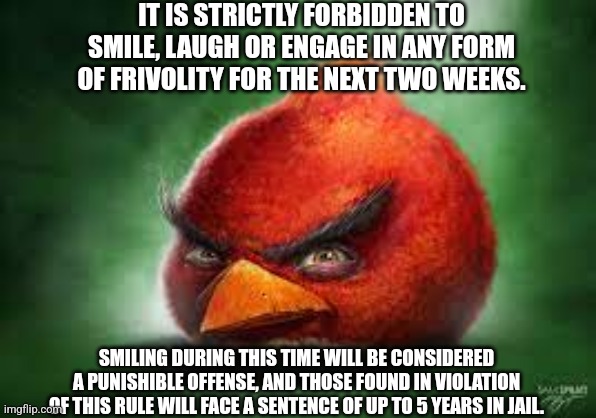 please boost | IT IS STRICTLY FORBIDDEN TO SMILE, LAUGH OR ENGAGE IN ANY FORM OF FRIVOLITY FOR THE NEXT TWO WEEKS. SMILING DURING THIS TIME WILL BE CONSIDERED A PUNISHIBLE OFFENSE, AND THOSE FOUND IN VIOLATION OF THIS RULE WILL FACE A SENTENCE OF UP TO 5 YEARS IN JAIL. | image tagged in realistic angry birds | made w/ Imgflip meme maker