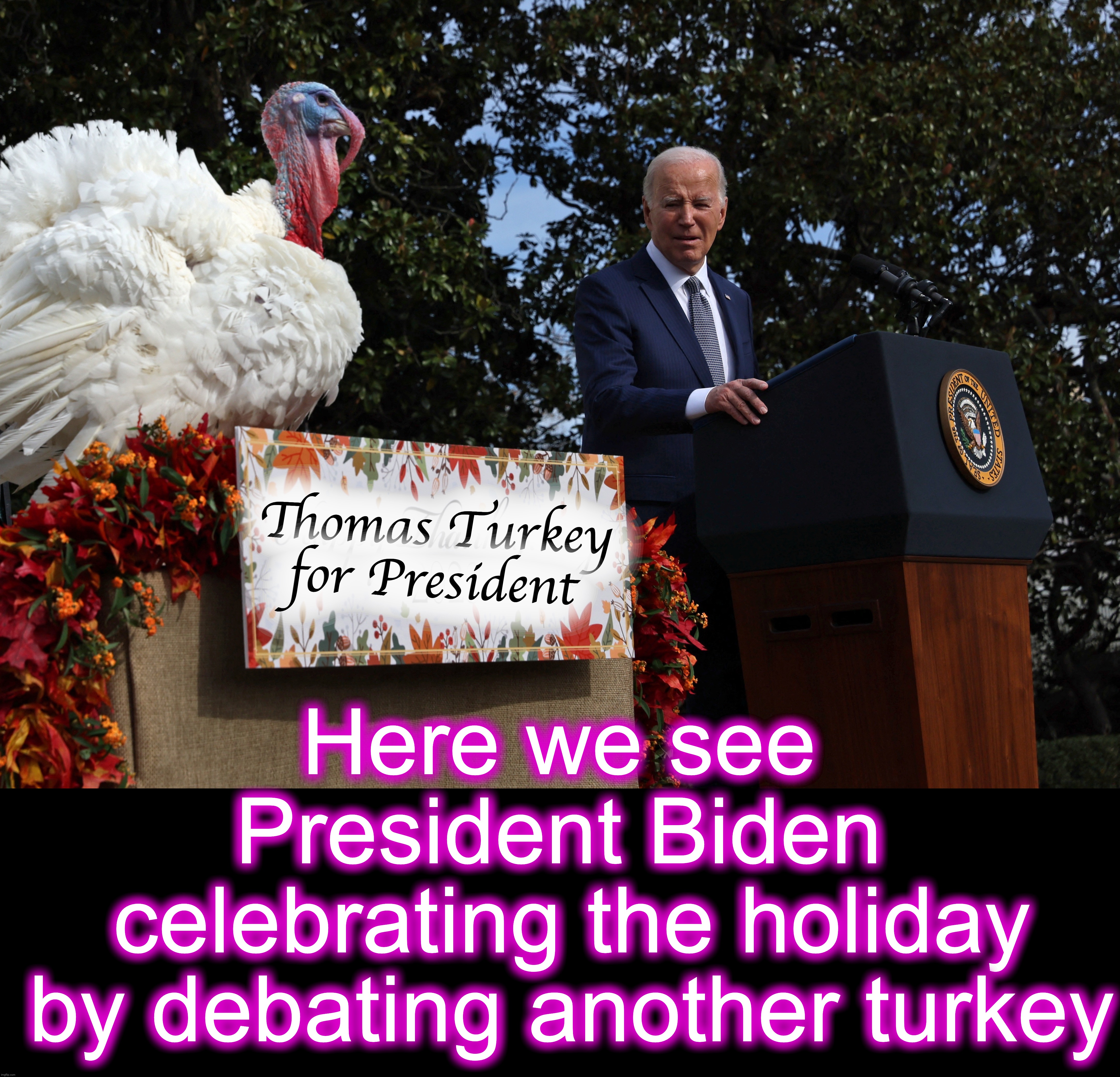 Meanwhile: important Election 2024 news [warning: duck-duck-goose satire] | Thomas Turkey for President; Here we see President Biden
 celebrating the holiday
 by debating another turkey | image tagged in joe biden,turkeys,thanksgiving,funny memes,debates,presidential debate | made w/ Imgflip meme maker