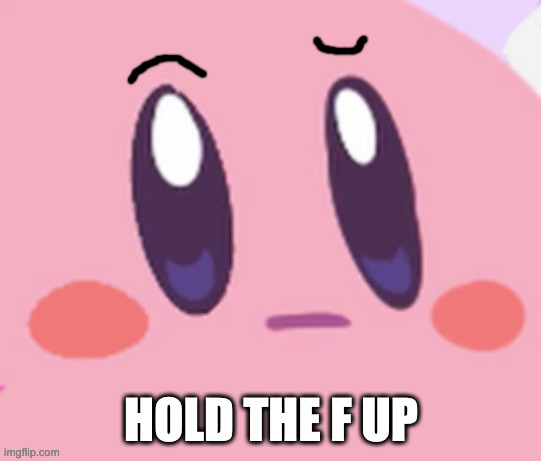 Blank Kirby Face | HOLD THE F UP | image tagged in blank kirby face | made w/ Imgflip meme maker
