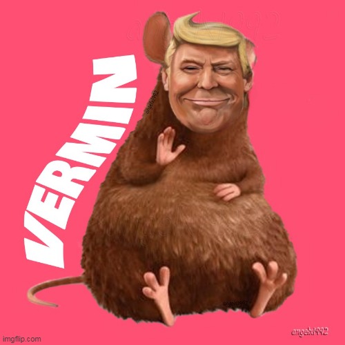 vermin | image tagged in vermin,rat,maga morons,qanon morons,ratatouille,clown car republicans | made w/ Imgflip meme maker