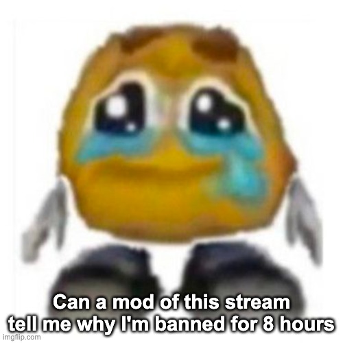 Crying emoji | Can a mod of this stream tell me why I'm banned for 8 hours | image tagged in crying emoji | made w/ Imgflip meme maker