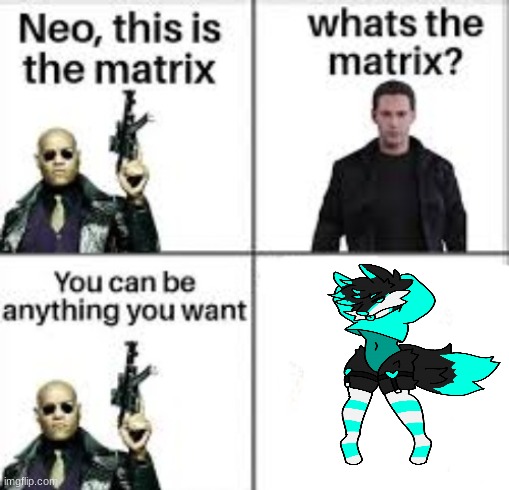Neo this is the matrix | image tagged in neo this is the matrix | made w/ Imgflip meme maker