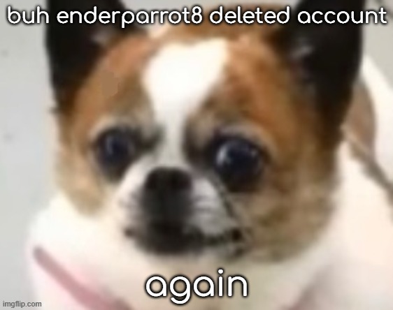 bombastic side eye dog | buh enderparrot8 deleted account; again | image tagged in bombastic side eye dog | made w/ Imgflip meme maker