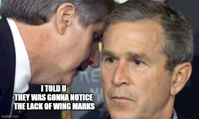 George Bush 9/11 | I TOLD U 
THEY WAS GONNA NOTICE 
THE LACK OF WING MARKS | image tagged in george bush 9/11 | made w/ Imgflip meme maker