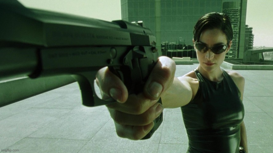Trinity The Matrix Dodge This | image tagged in trinity the matrix dodge this | made w/ Imgflip meme maker