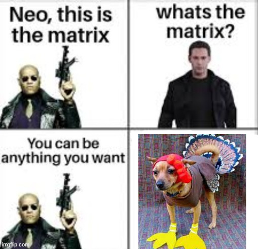 Haha funny Seamus Coughlin fans inside joke | image tagged in neo this is the matrix | made w/ Imgflip meme maker