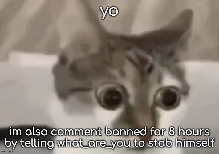 reply to https://imgflip.com/i/86xt4u | yo; im also comment banned for 8 hours by telling what_are_you to stab himself | image tagged in bombastic side eye cat | made w/ Imgflip meme maker