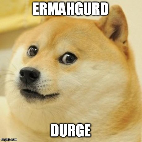 ERMAHGURD DURGE | image tagged in memes,doge | made w/ Imgflip meme maker