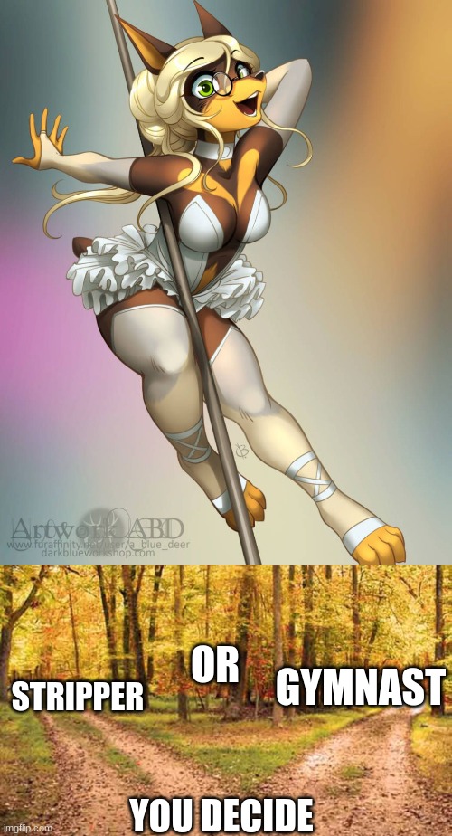devious trick or mental retardation? | STRIPPER; OR; GYMNAST; YOU DECIDE | image tagged in you choose | made w/ Imgflip meme maker