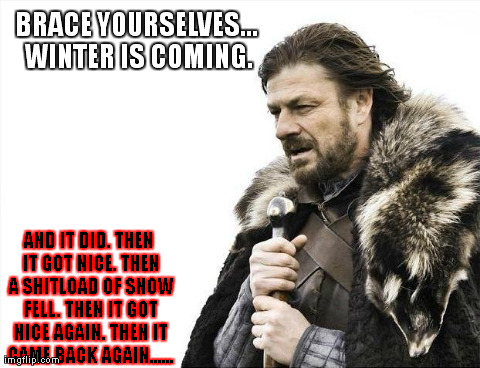 Brace Yourselves X is Coming | BRACE YOURSELVES... WINTER IS COMING. AND IT DID. THEN IT GOT NICE. THEN A SHITLOAD OF SNOW FELL. THEN IT GOT NICE AGAIN. THEN IT CAME BACK  | image tagged in memes,brace yourselves x is coming | made w/ Imgflip meme maker