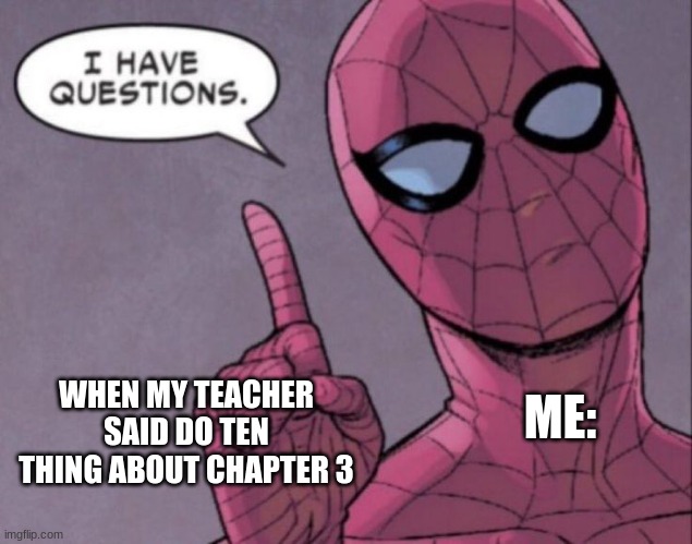 um what??? me need more input | ME:; WHEN MY TEACHER SAID DO TEN THING ABOUT CHAPTER 3 | image tagged in i have questions | made w/ Imgflip meme maker