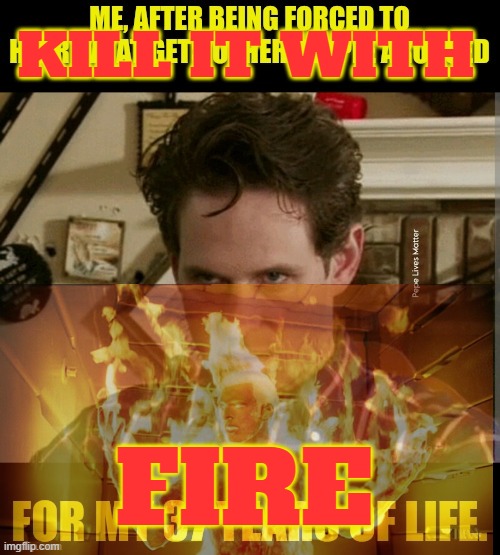 KILL IT WITH FIRE | made w/ Imgflip meme maker