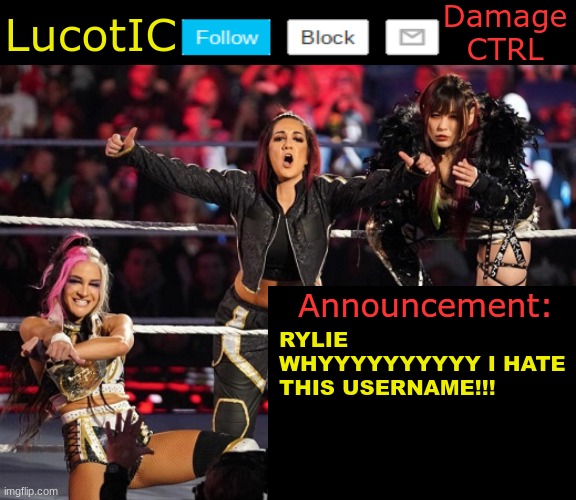 . | RYLIE WHYYYYYYYYYY I HATE THIS USERNAME!!! | image tagged in lucotic's damage ctrl announcement temp | made w/ Imgflip meme maker