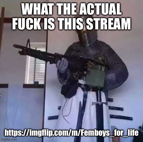 Crusader knight with M60 Machine Gun | WHAT THE ACTUAL FUCK IS THIS STREAM; https://imgflip.com/m/Femboys_for_life | image tagged in crusader knight with m60 machine gun | made w/ Imgflip meme maker