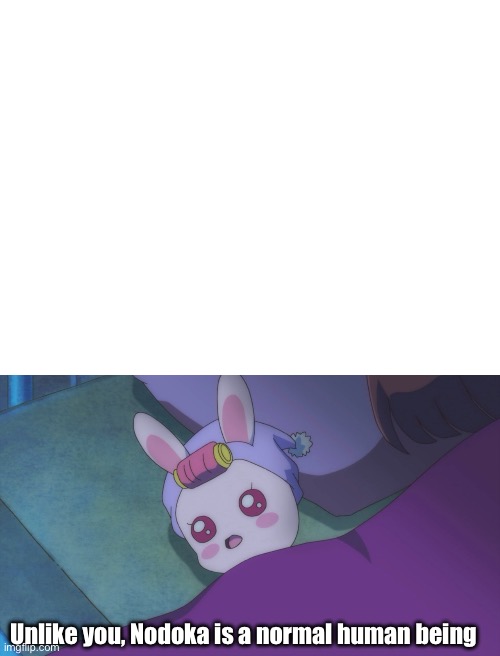 Rabirin doesn’t approve of this | Unlike you, Nodoka is a normal human being | image tagged in healin good precure,precure,memes | made w/ Imgflip meme maker