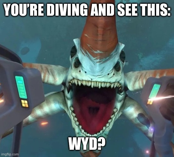 Can’t even swim in Ohio | YOU’RE DIVING AND SEE THIS:; WYD? | image tagged in minors | made w/ Imgflip meme maker