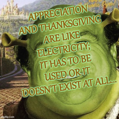 For real, thanks, I appreciate it | APPRECIATION AND THANKSGIVING ARE LIKE ELECTRICITY; IT HAS TO BE USED OR IT DOESN'T EXIST AT ALL... | image tagged in shrek,iloveyou,appreciation,thanksgiving,xoxo | made w/ Imgflip meme maker