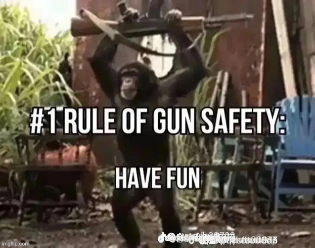 image tagged in guns | made w/ Imgflip meme maker