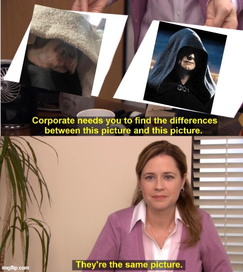Dog Sith Lord | image tagged in memes,they're the same picture | made w/ Imgflip meme maker