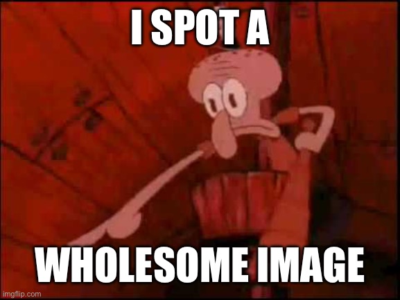 Squidward pointing | I SPOT A WHOLESOME IMAGE | image tagged in squidward pointing | made w/ Imgflip meme maker