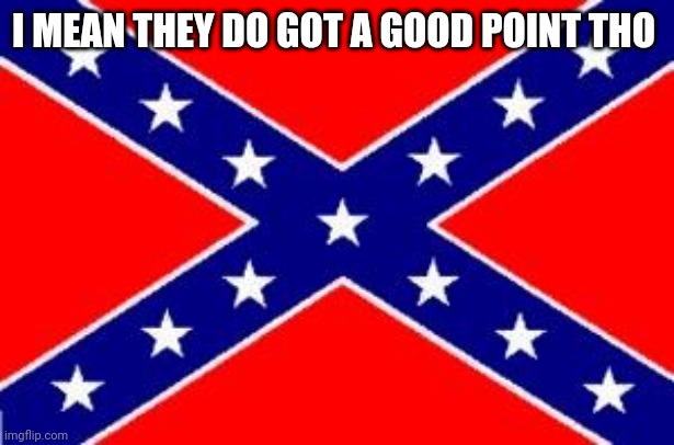 Dixie Flag | I MEAN THEY DO GOT A GOOD POINT THO | image tagged in dixie flag | made w/ Imgflip meme maker
