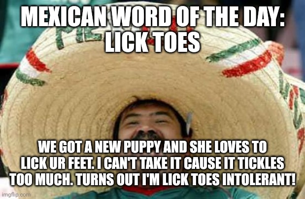 Lick toes | MEXICAN WORD OF THE DAY:
LICK TOES; WE GOT A NEW PUPPY AND SHE LOVES TO LICK UR FEET. I CAN'T TAKE IT CAUSE IT TICKLES TOO MUCH. TURNS OUT I'M LICK TOES INTOLERANT! | image tagged in happy mexican | made w/ Imgflip meme maker