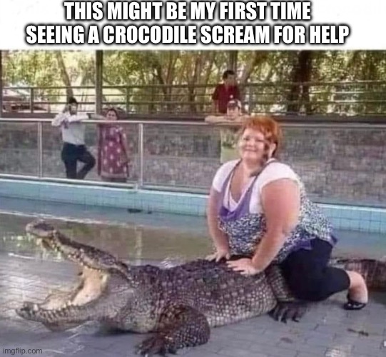 Croc scream | THIS MIGHT BE MY FIRST TIME SEEING A CROCODILE SCREAM FOR HELP | image tagged in funny | made w/ Imgflip meme maker