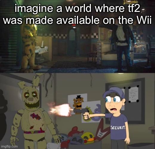 it could have happened since they both released at the same time period | imagine a world where tf2 was made available on the Wii | image tagged in 100 real no fake | made w/ Imgflip meme maker