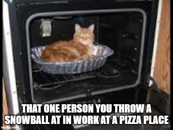 Work at a Pizza Place Oven | THAT ONE PERSON YOU THROW A SNOWBALL AT IN WORK AT A PIZZA PLACE | image tagged in cat in oven,memes,roblox | made w/ Imgflip meme maker