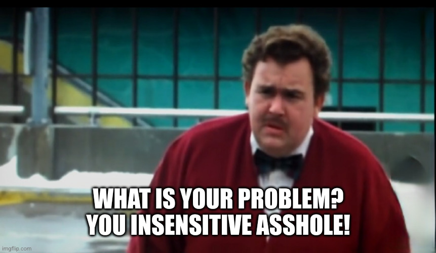 John Candy | WHAT IS YOUR PROBLEM? YOU INSENSITIVE ASSHOLE! | image tagged in john candy,steve martin,thanksgiving,asshole | made w/ Imgflip meme maker