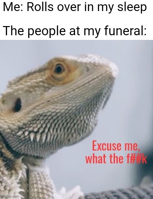 Made a new Template | Me: Rolls over in my sleep; The people at my funeral: | image tagged in bearded dragon,custom template | made w/ Imgflip meme maker